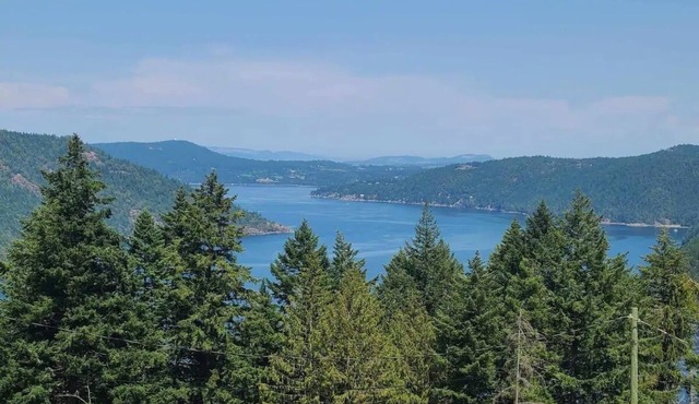 Malahat Ocean View Oasis- Hot tub, Firepit, BBQ- Cozy getaway close to town in Malahat