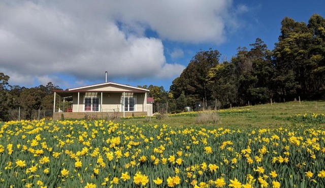 Mountain Blue Guest House