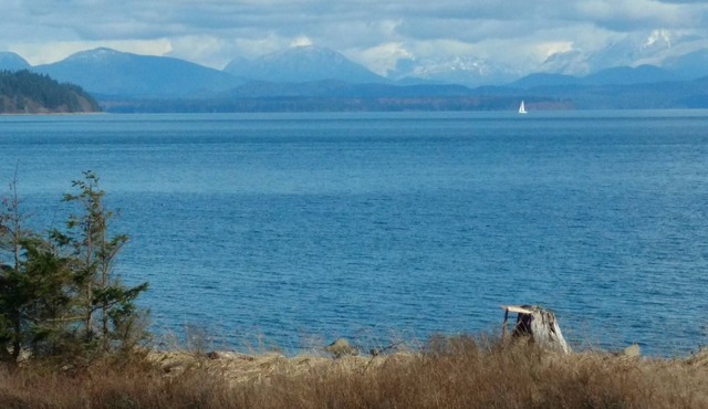 Oceanview Suite, private patio and entrance - right across from the beach! in Campbell River
