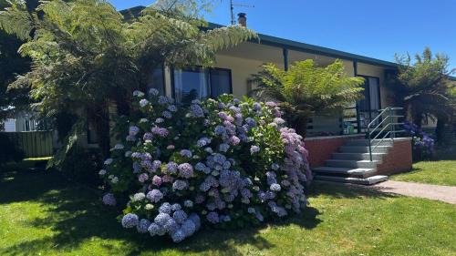 Olivers Beach Getaway
