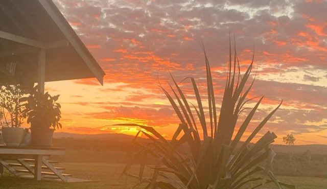 Pandanus Sandon River Road Brooms Head 2463