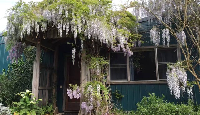 Peaceful country home 5 minutes from the beach