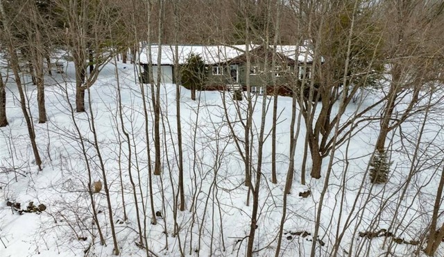 Private Cabin Retreat in Pretty River Valley |15 min to Blue Mountain in Grey Highlands