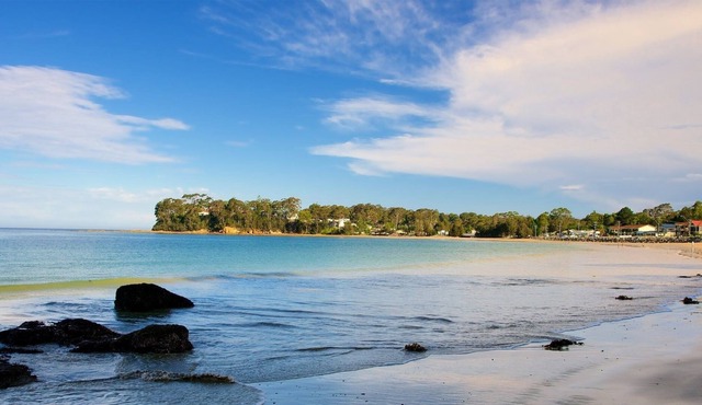 Quiet House, amongst spotted gum trees, just minutes from beaches & shops.
