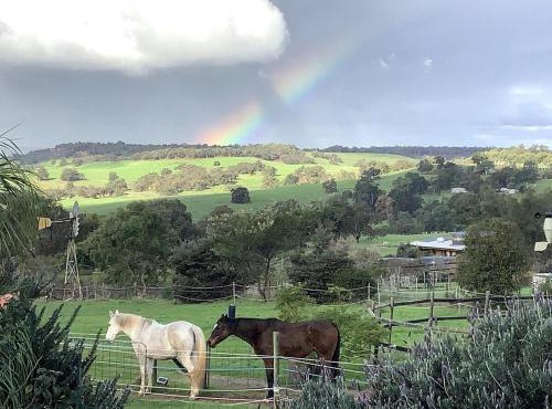 Reset and chill in a spa at Katandra Cottage, in Bullsbrook