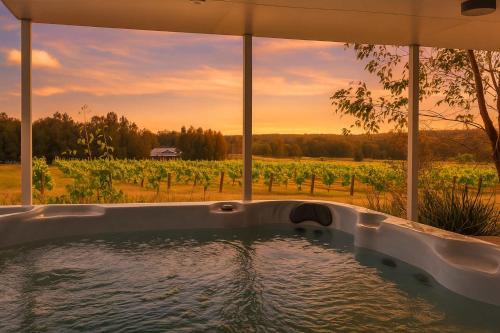 Rose at the Vineyard