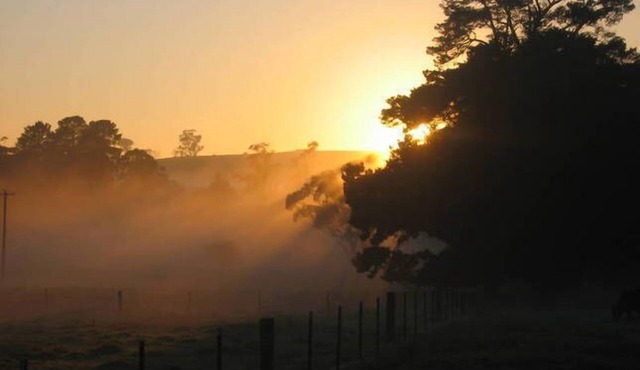 SELF-CONTAINED STUDIO; PRIVATE "FERNDALE" B&B Farm Stay 5mins to BUNDANOON in Exeter