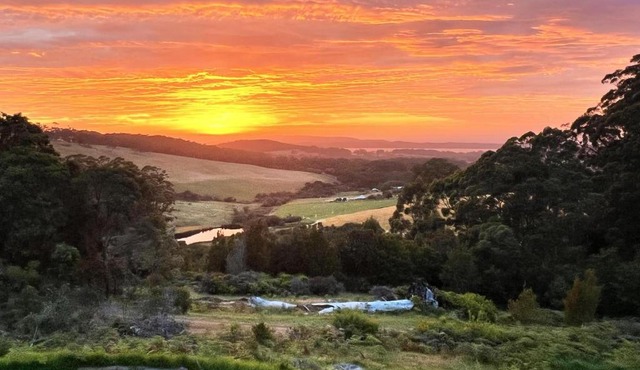 Serendeva | Private 5 Acres 6 mins from town, Panoramic Views, Dogs Welcome, EV Charging Point in Denmark