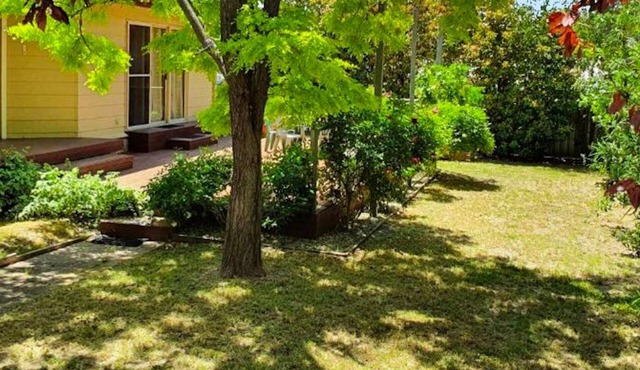 Stonewall - 4 bedroom, pet-friendly home