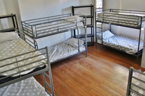 The Hive Hostel - Traveler Friendly, Passport Only