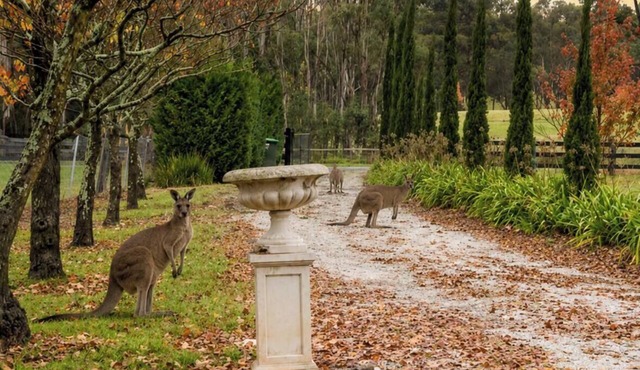 Thirlmere homestead in Thirlmere