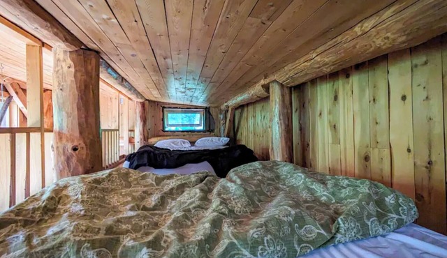 Timber Frame Cabin at Terra Perma in Harrington