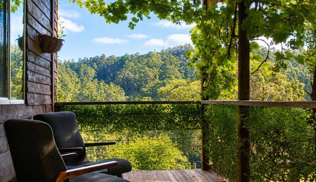 Top of the Otways - Country Cottage
