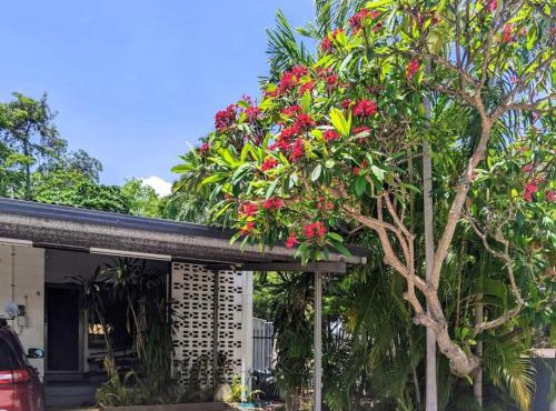 Tropical Garden Villa 5 mins from City Centre
