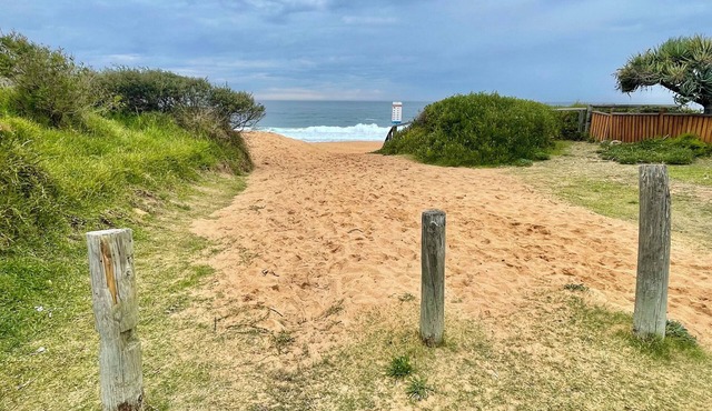 Tropical Northern Beaches Sydney