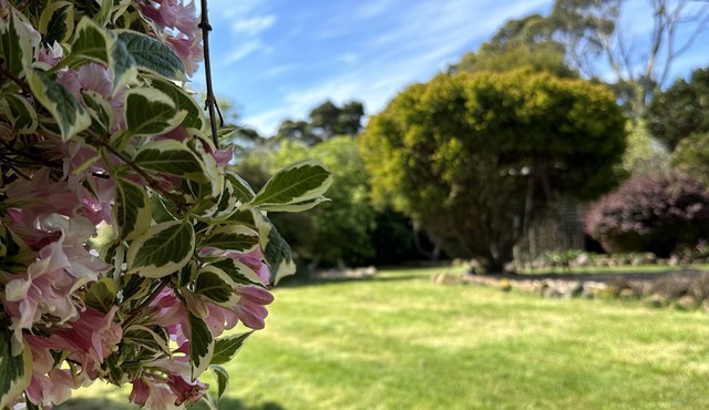 Two Twenty Two Farm Stay