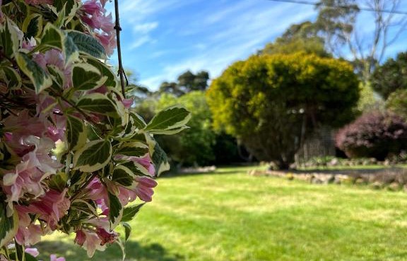 Two Twenty Two Farm Stay