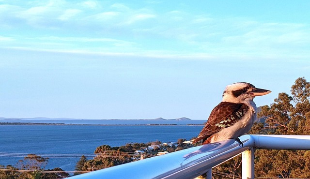 Unbeatable Views of Port Stephens - Pacific Waters
