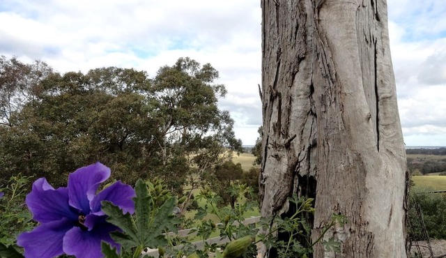 Unique Cottage Surrounded by Farmland near Gippsland Lakes, Victoria, Australia