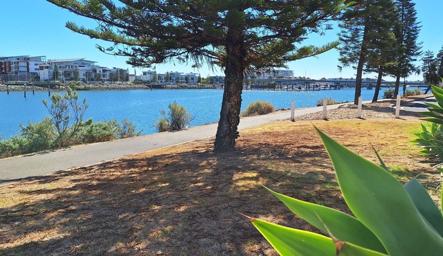 Wake to Dolphins & Pelicans | Waterfront Apartment in the Heart of Port Adelaide