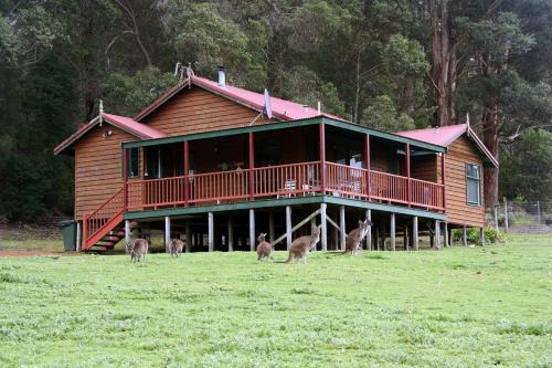 Walpole Wilderness Resort