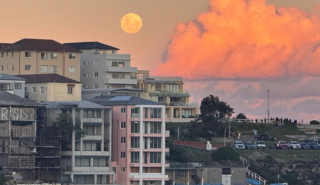 Welcoming 4-bedroom beach house in Tamarama- Perfect for family/friends getaway