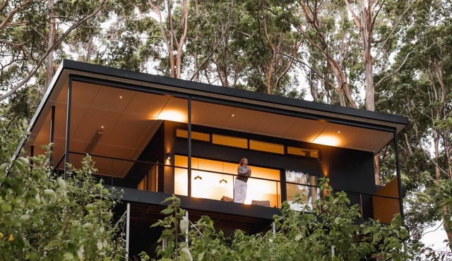 Wild Cabin: Luxury forest retreat, inlet views