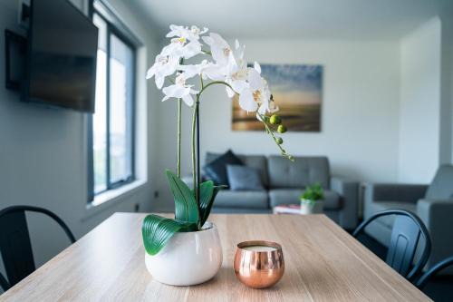 Youngtown Executive Apartments - 2BR included, Free Parking & Wifi, Sofa Bed & Cot fee applies