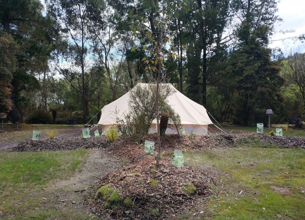Photo of Others in Zeehan