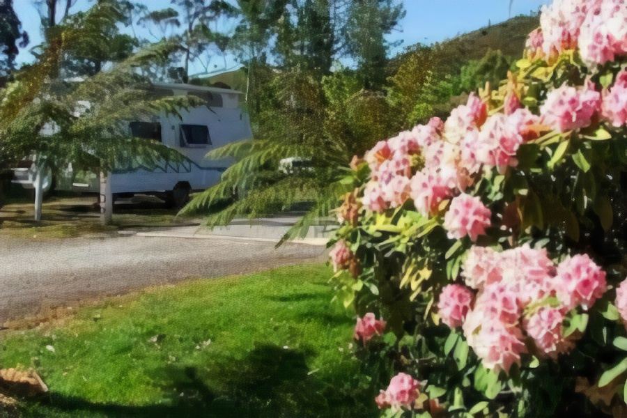 Photo of Others in Zeehan