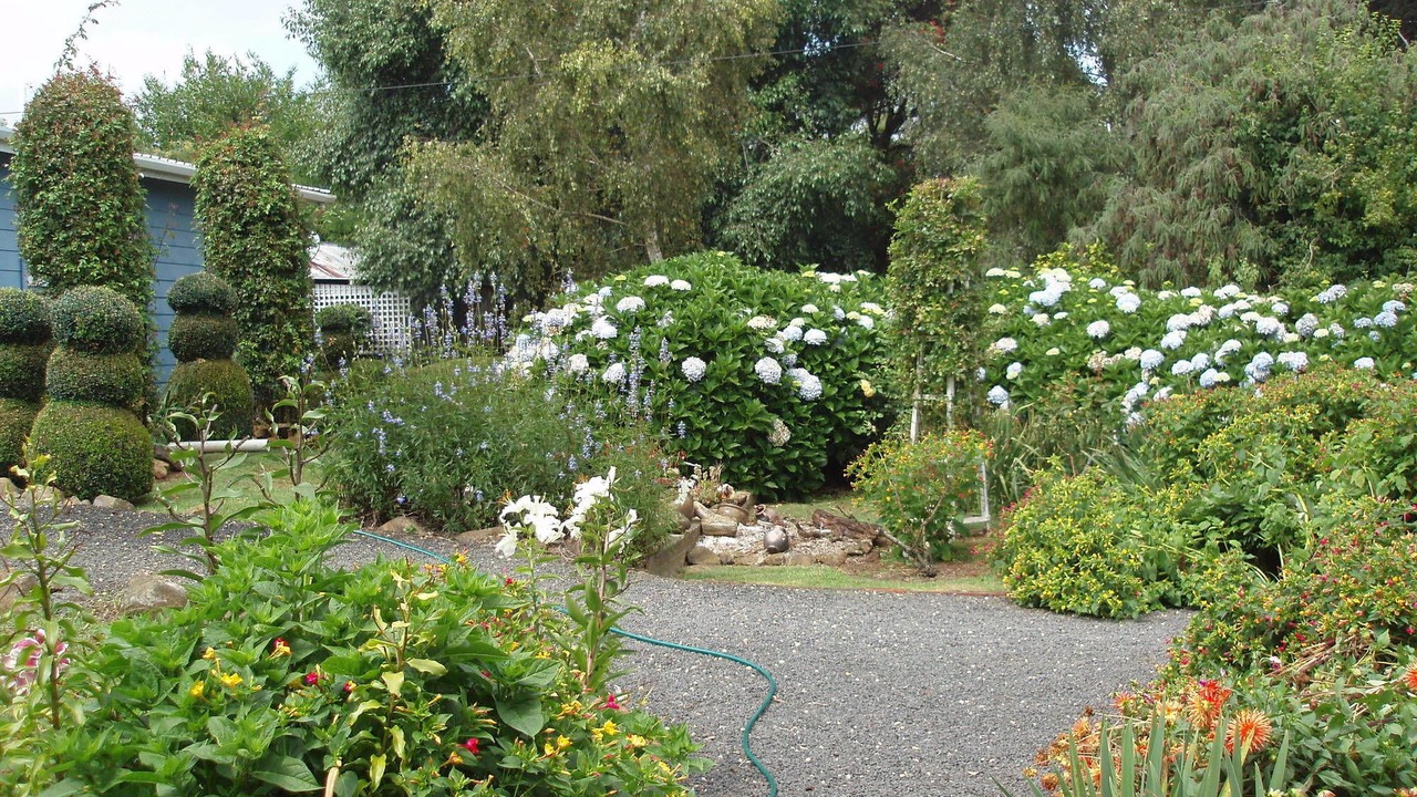 Photo of Outdoor in Boat Harbour