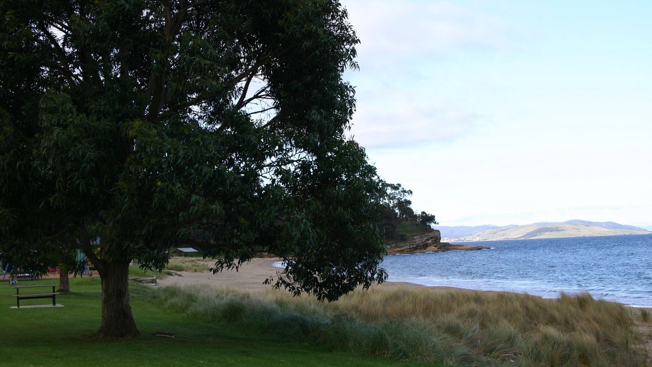Photo of Others in Blackmans Bay