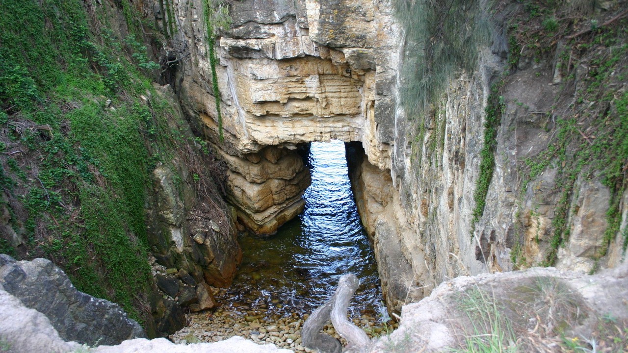 Photo of Others in Blackmans Bay