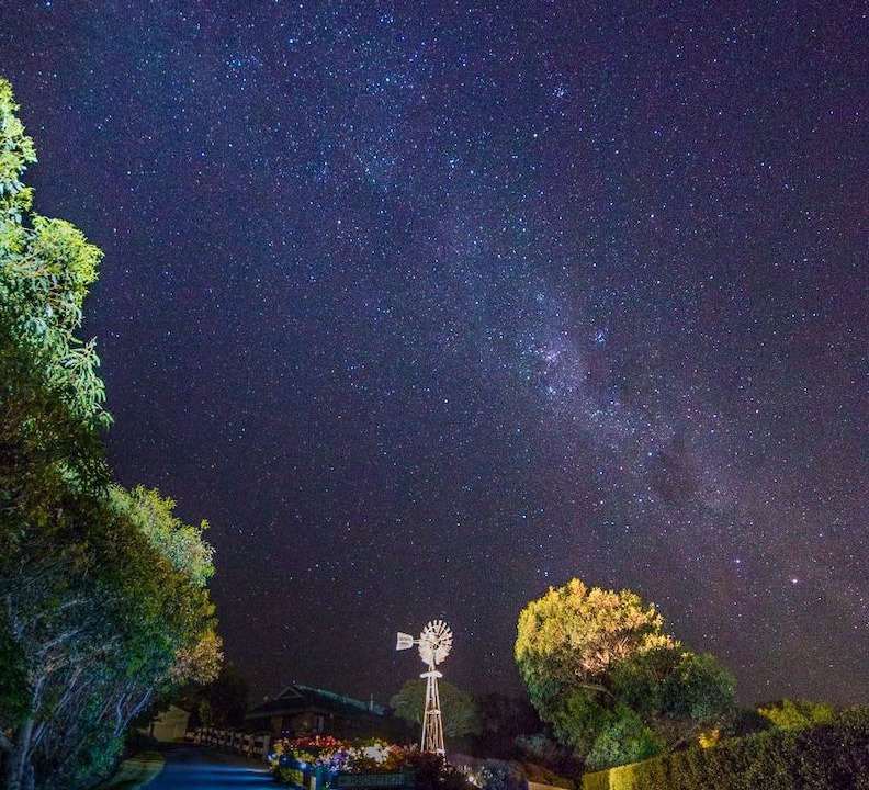 Photo of Outdoor in Port Campbell