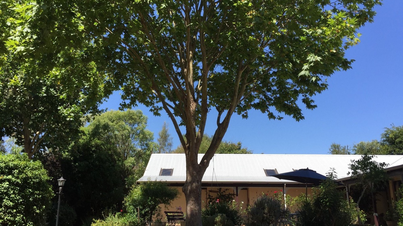 Photo of Others in Cowaramup