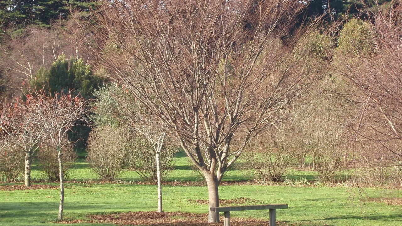 Photo of Outdoor in Boat Harbour