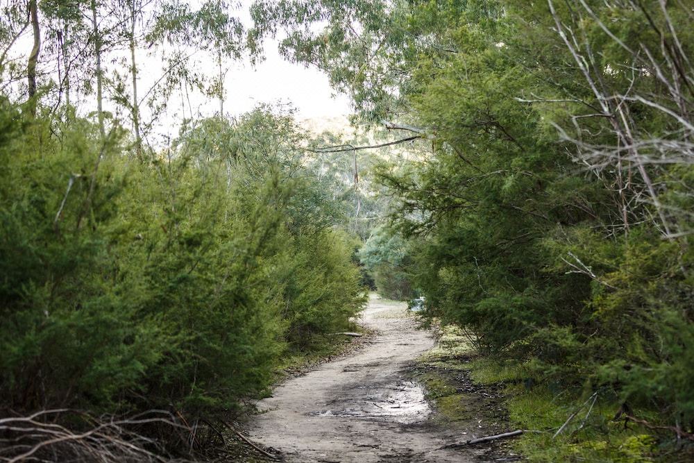 Photo of Outdoor in Yering
