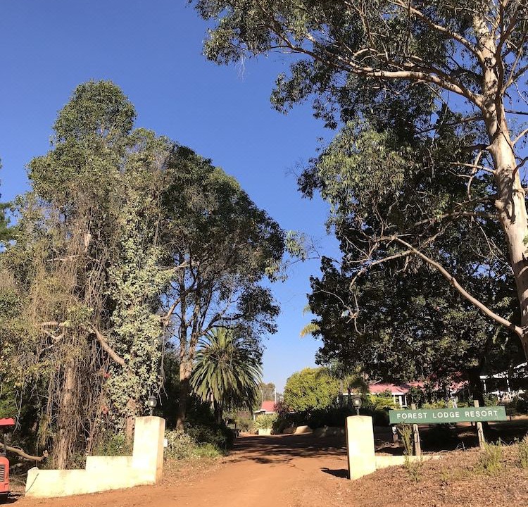 Photo of Buildings in Pemberton