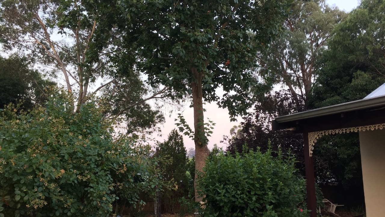 Photo of Buildings in Cowaramup