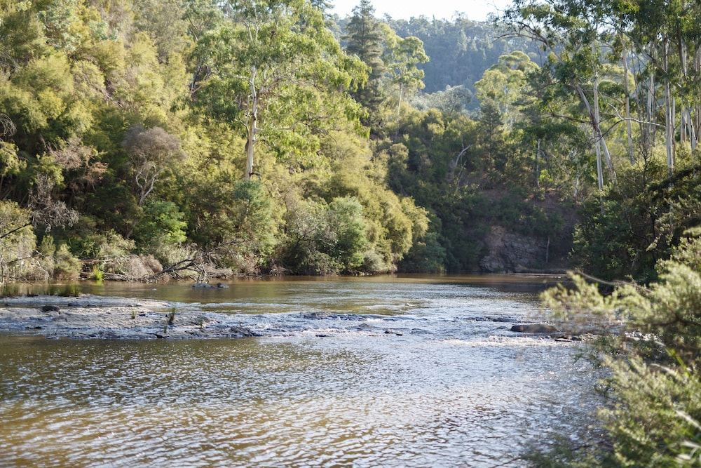 Photo of Outdoor in Yering