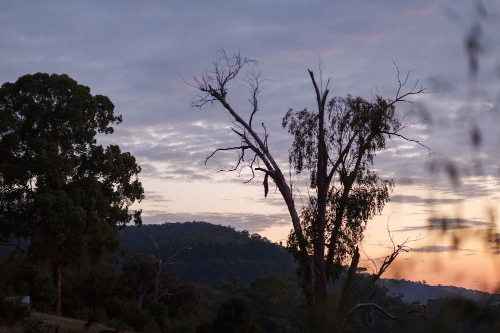 Photo of Outdoor in Yering