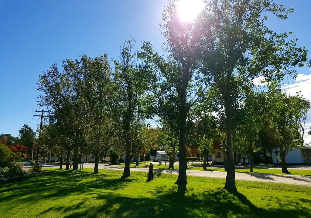 Photo of Outdoor in Moama