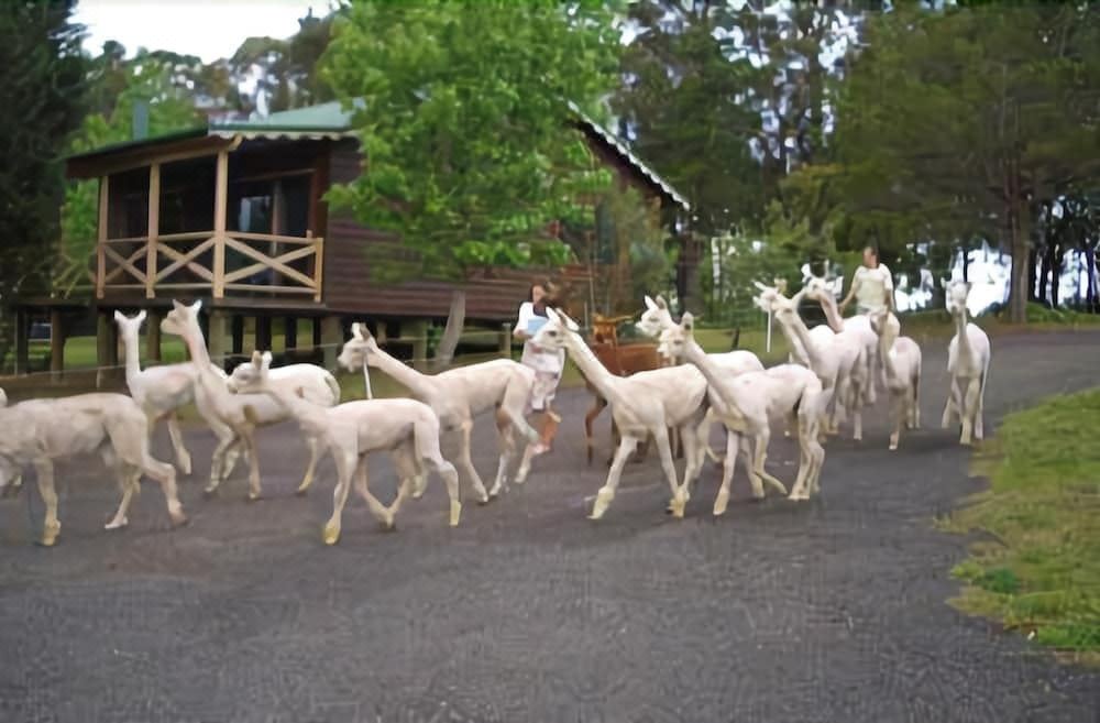 Photo of Others in Kurrajong Heights