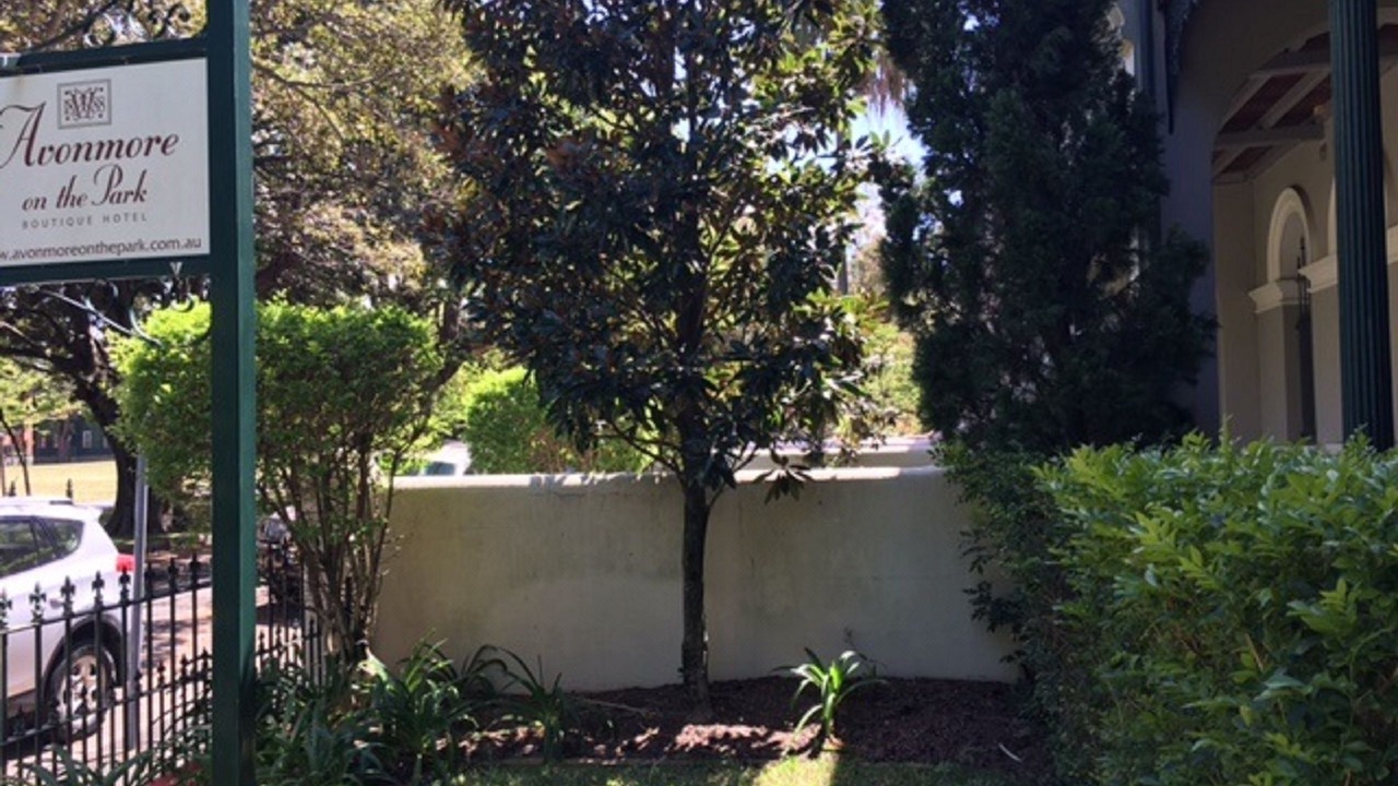 Photo of Buildings in Randwick