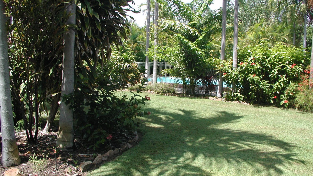 Photo of Others in Bowen