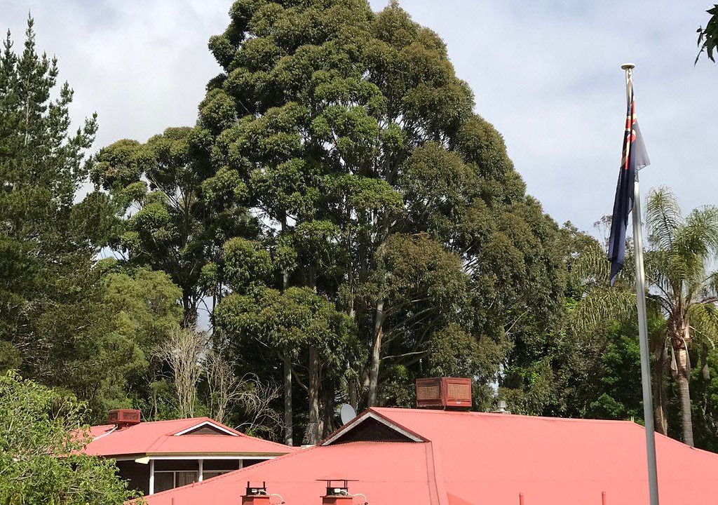 Photo of Buildings in Pemberton