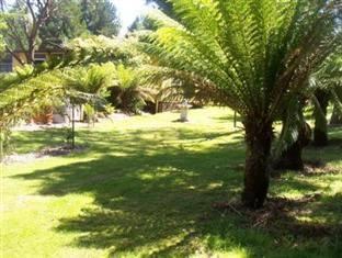 Photo of Outdoor in Zeehan