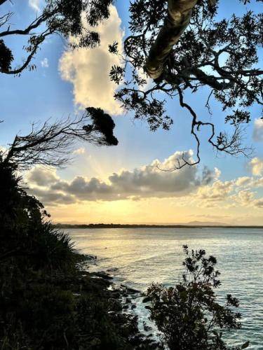 Photo of Others in Noosa Heads