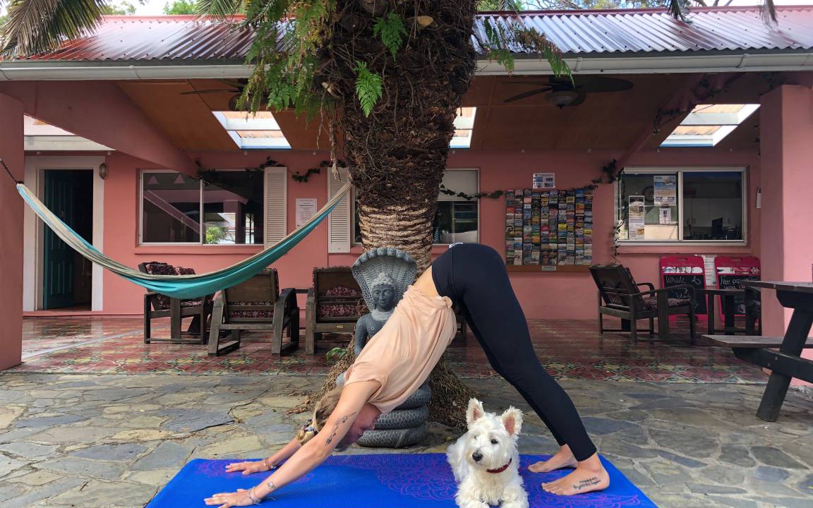 Photo of Others in Sunshine Beach