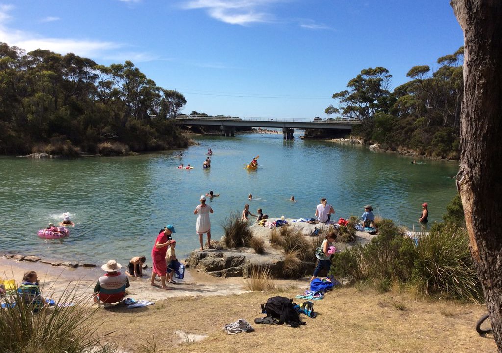 Photo of Others in Crayfish Creek